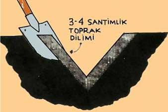 2 Eğer arazi homojen ise 20 da. araziden 1 örnek alınması yeterli olabilir.