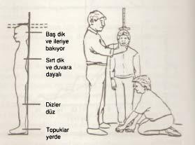 Zamanında doğan bir bebeğin boy uzunluğu ortalama 50 cm kadardır (48-52 cm). Yenidoğanın boyu ilk altı ayda 16 cm, ikinci altı ayda 8 cm uzar.