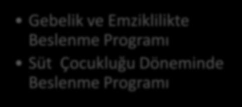 GELİŞİM DÖNEMLERİNE GÖRE BESLENMEYİ DÜZENLEMEK-I İÇİNDEKİLER Gebelik ve Emziklilikte Beslenme Programı Süt