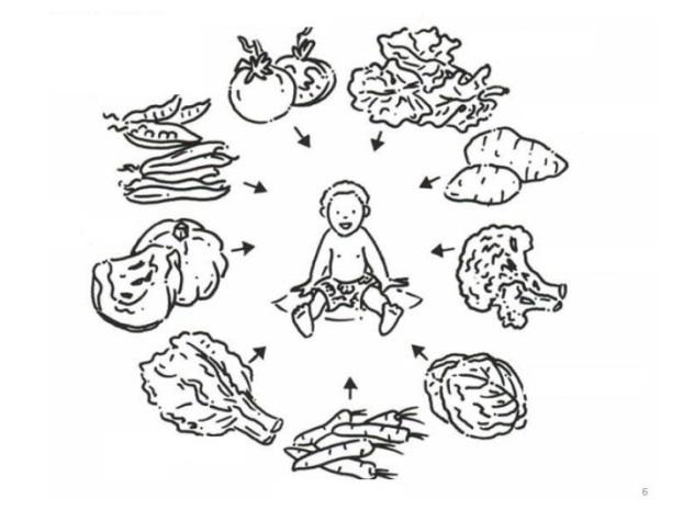 Domates Ispanak Bezelye Patates Balkabağı Brokoli Pazı Lahana Havuç Resim 3. Tamamlayıcı besinler. Kaynak:World Health Organization.