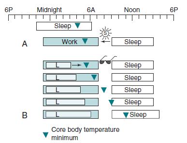 6. Vardiyalı Çalışma Tipi Sirkadiyen Ritim Uyku Bozukluğu TEDAVİ Çalışma saatlerinin başında 3-6 saat parlak ışık Kısa planlı şekerlemeler (vardiya öncesi) Vardiya sonrası ışığa maruz kalmadan