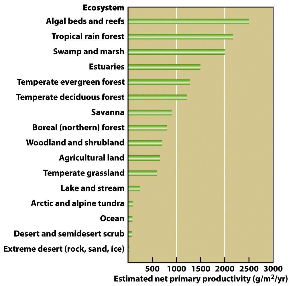 Ekosistemlerde NPP Alg yatakları ve mercanlar Tropik yağmur ormanı Bataklıklar Haliçler Ilıman yaprak dökmeyen orman Ilıman yaprak döken orman Çayır Kuzey ormanları