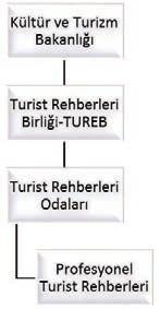 270 SOSYAL, BEŞERİ VE İDARİ BİLİMLERDE AKADEMİK ARAŞTIRMALAR - VI Şekil 1:Turist Rehberlerinin bağlı olduğu