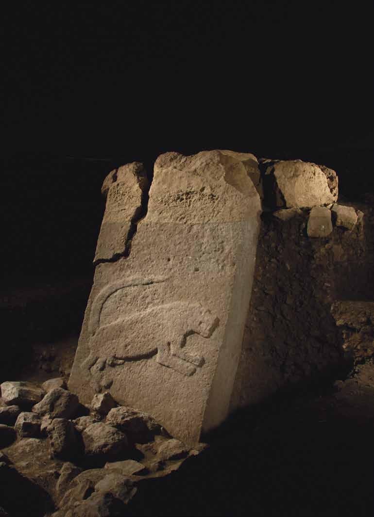 Göbekli Tepe de çok miktarda hayvan kalıntısının ele geçmesi, çok miktarda etin tüketildiği geniş ölçekli sosyal etkinliklerin varlığına işaret eder.