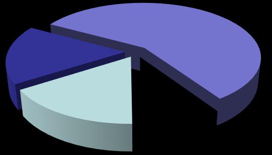 17% Ulaşım 57% Türkiye 17% Boru Hattı 16% Bina 9%