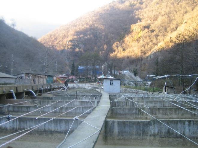 Şekil 32 Giresun ilinde en büyük kapasiteli tatlısu işletmesinin görünümü. İldeki işletmelerin hiçbiri doğrudan desteklemeden faydalanmamaktadır.