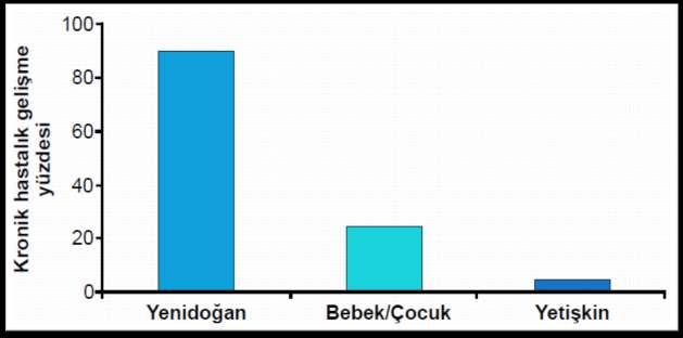 Maternal HBV geçişinin önemi HBV nin kronikleşmesi alındığı yaş ile ters orantılı, yani ne