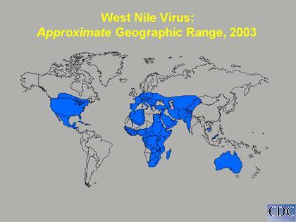 1999 yılında ABD de saptanmadan önce zamanla Afrika ya