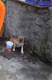 Pursaklar, Kazan içme suyu arıtma tesislerinin de 149 bin 144 aileye, 2013