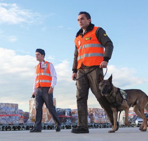 FARKIMIZ K9 Patlayıcı Madde Dedektör Hizmeti Türk Sivil Havacılık sektöründe güvenlik uygulamalarında K9 Patlayıcı Madde Dedektör Ekibi (K9 Patlayıcı Madde Dedektör Köpek ve İdarecisi)