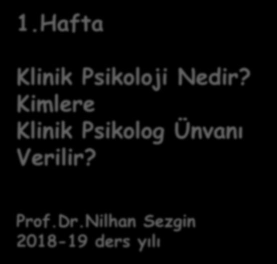 Nilhan Sezgin 2018-19