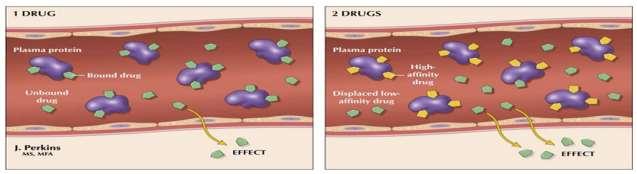 DAĞILIM (2) * İlaçların plazma içindeki dağılımı... - Serbest ilaç fraksiyonu. Diffüzyona uygundur. Glomerüler filtrasyona uğrar.