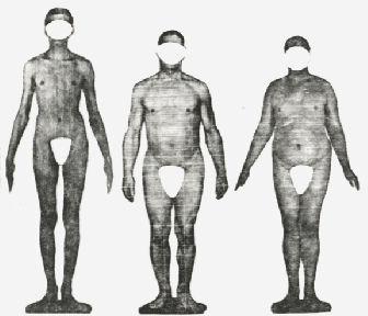 SOMATOTİP (VÜCUT TİPİ) kişinin iskelet-kas-yağ yapısını, ağırlığını ve bu fiziksel özelliklerinin sınıflandırılmasıdır yani