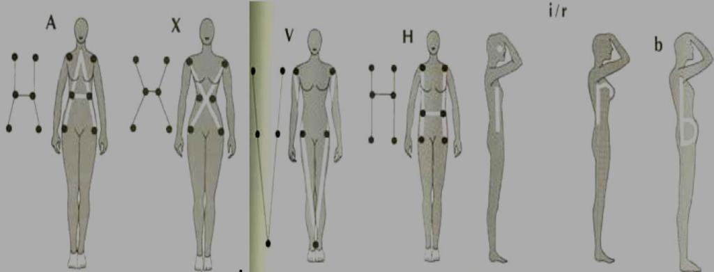 GİYİM ALANINDA FİGÜR ANALİZİ ÇALIŞMALARI August (1981), kadın vücut tipi sınıflandırması, A (dar omuz-geniş kalça), X (orantılı omuz ve kalça), V