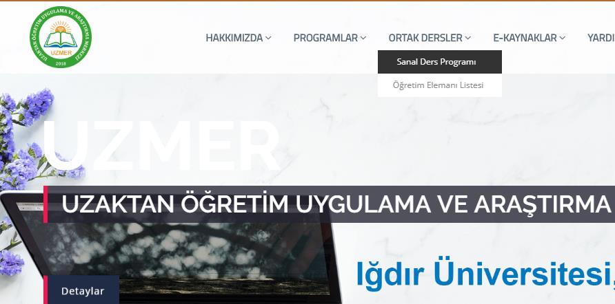 Sanal Ders Programı ve Öğretim Elemanı Listesine