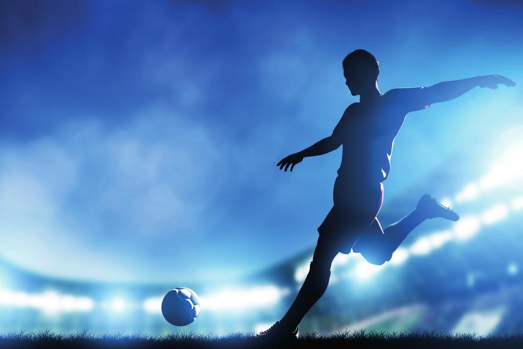 Futbol Müsabakalarında ve Diğer Spor Etkinliklerinde Entegre Emniyet, Güvenlik ve Hizmet Yaklaşımına Dair