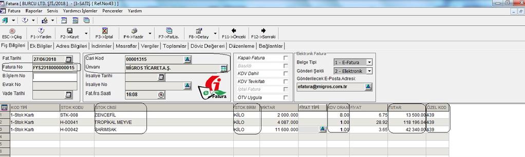 Fatura işlerken; Cari Unvanı, Stok Cinsi, Stok Birimi, Tutar, KDV Oranı, İade İşlem Türünü fatura kalem satırlarında Özel Kod/ Açıklama 1-2-3 (parametreye göre), Evrak No (parametreye göre), GGB