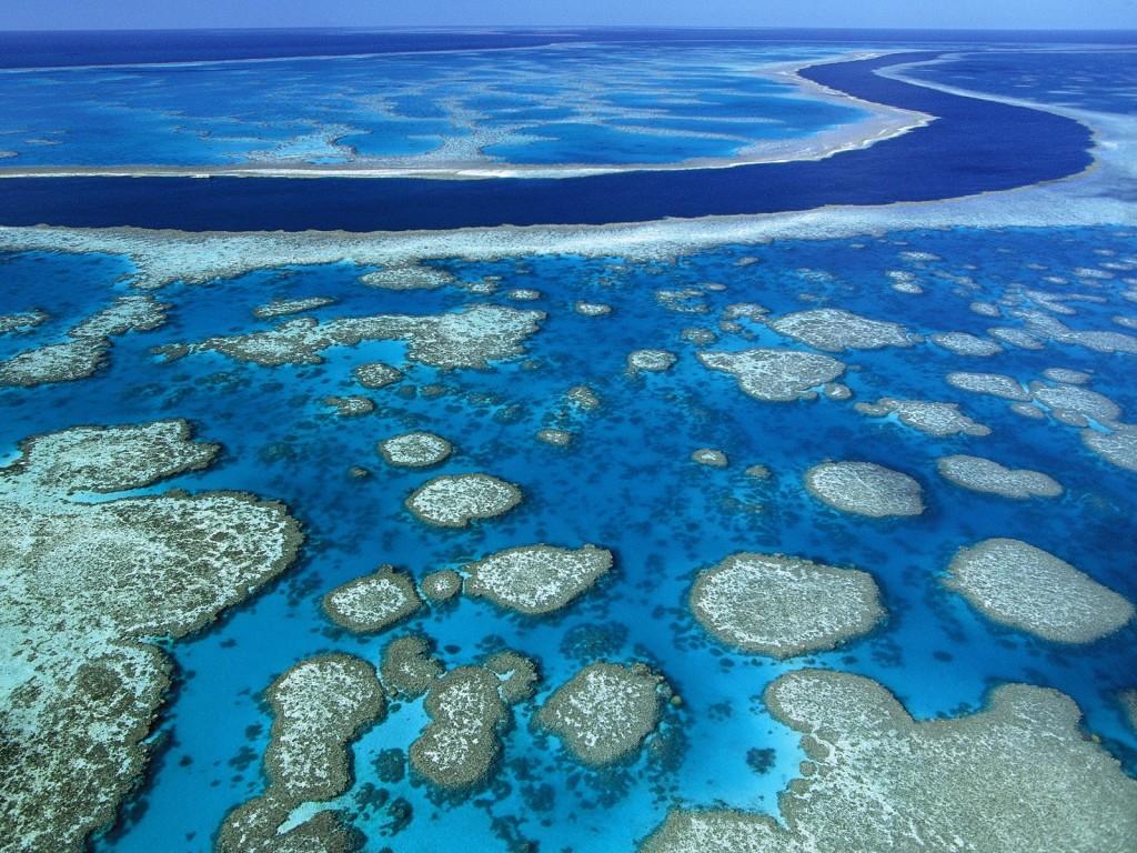 Büyük Set Resifi Avustralya yakınlarında Mercan Denizi nde bulunan Büyük Set Resifi (Great Barrier Reef) dünya üzerinde canlı organizmalardan oluşan devasa tek yapıdır.