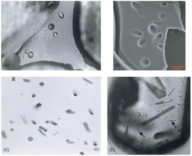 (A) Cam parçalarında fizyon izlerinin Optik mikroskop görüntüsü (6-8μm) (B) Cam parçalarındaki fizyon izlerinin