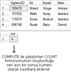 COMPUTE ifadesi seçilen sonuç kümesi ile birlikte gruplama fonksiyonunun ürettiği sonucu ayrı bir sonuç kümesi olarak getirmektedir.