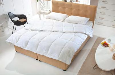 Yastık Softy Yastık