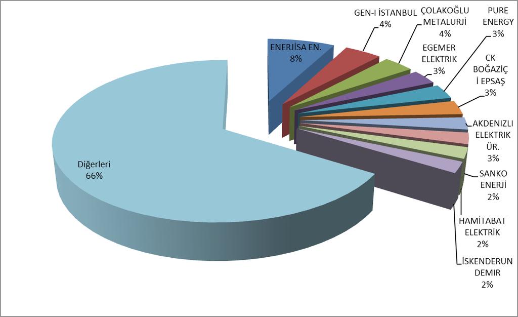 Miktarlarının Şirket Bazında Dağılımı ve İlk 10 Şirketin Payı