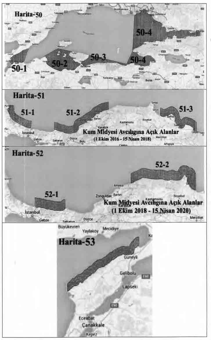 13 Ağustos 2016 Sayı :