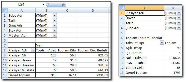 Vio dan Excel e Vio dan MS Excel özet tabloya atılan