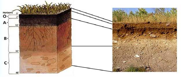 Ayrıca yüzeyde atmosferik koşullar altında bozunma ürünlerine dönüşebilen bu tür kaya