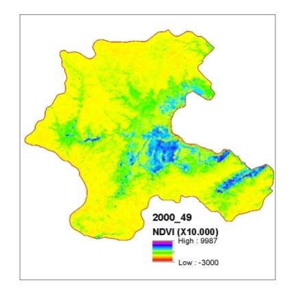 Şekil 7.4 MODIS verisi, 49. gün, 129. gün ve 257.