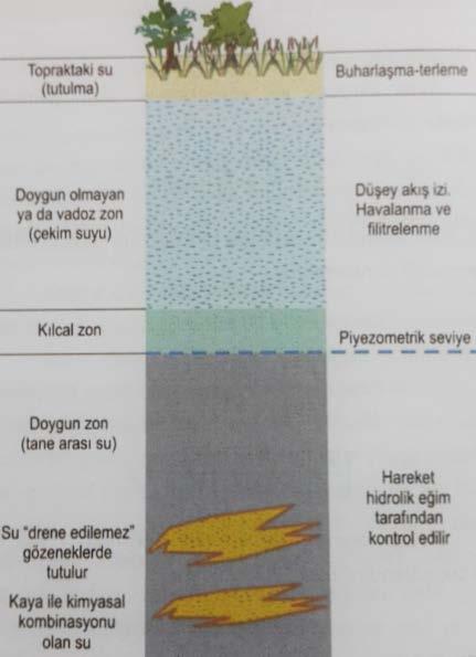 ZEMİNDE KILCALLIK (KAPİLERİTE) OLAYI Zemin yüzünden zemine giren sular, yeraltı su düzeyine ulaşırken, bir kısım su daneler arası temas noktaları civarında, yüzey gerilim kuvvetlerince tutulur.