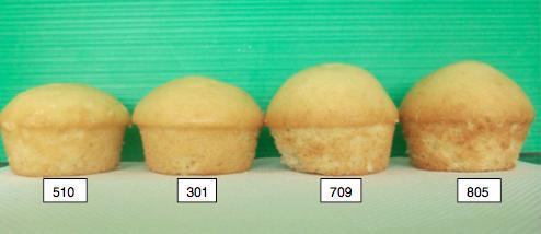 510 kontrol, 301 bitkisel yağ-balık yağı karışımı, 709 muz dirençli nişastası-soya proteini karışımı ile enkapsüle edilmiş bitkisel