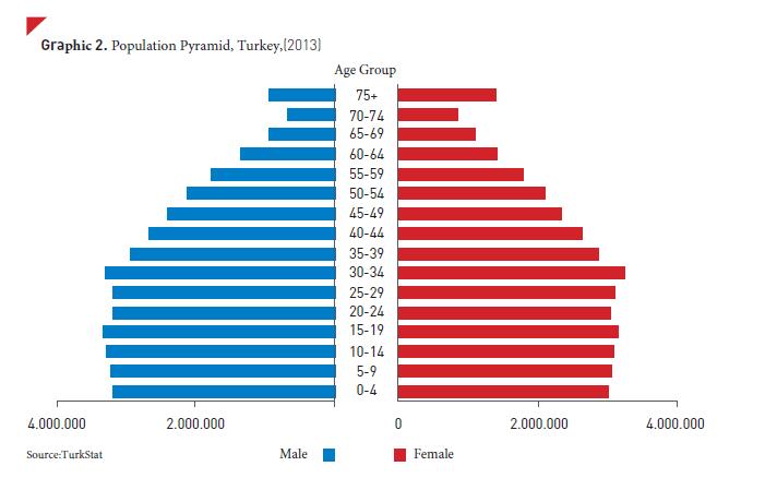 Population Pyramid, Turkey, (2000, 2013) Turkey, compared to the OECD countries, has a young demographic pattern as a result of higher fertility rate. The ratio of 65+ aged population is 7.