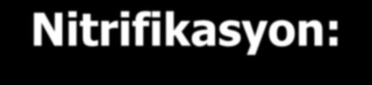 Nitrifikasyon: Amonyumun biyolojik oksidasyonla nitrata yükseltgenmesidir İki aşamada gerçekleşir Birinci aşamada Nitrosomonas bakterileri vasıtasıyla NH 4+, NO 2- e, İkinci aşamada ise NO 2-