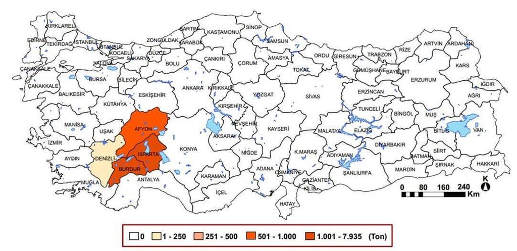 Türkiye nin Göller yöresi (Isparta, Burdur, Afyonkarahisar ve Denizli) ile Bulgaristan ın Kazanlık Yöresi (Stara Zagora, Plovdiv, Karlova