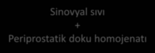 Protez e feksiyo ları da Kültür duyarlığı ı arttır ak içi e yapa