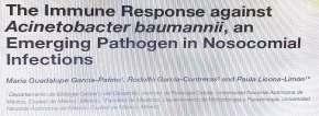 Acinetobacter baumannii qgram-negatif, non-fermente, aerobik, oksidaz negatif qhastane kökenli fırsatçı patojen q