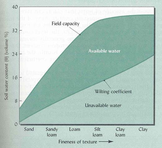 Toprak su içeriği ( ) (hacimsel %) ElveriĢli Su Kapasitesi Tarla kapasitesi Elverişli
