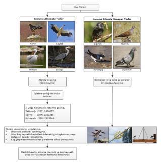 Kuş Kaynaklı Arızaların Azaltılması TREDAŞ