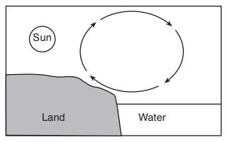 12- Aşağıdaki şemadaki oklar, güneşli bir günde hava sirkülasyonunu göstermektedir. Gösterilen hava sirkülasyonu; A) Sıcak ve soğuk havanın alçalmasıyla oluşur.