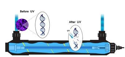 UV... teknolojisinin gücünü anlamak Ultra Violet ışık nedir?