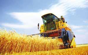 FAO'dan yapılan açıklamaya göre, uluslararası pazarlarda tahıl, bitkisel yağ, süt ürünleri, et ve şekerden oluşan beş ana gıda maddesinin fiyatları ve ticareti takip edilerek ölçülen Gıda Fiyat