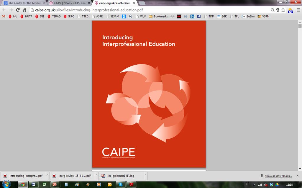 Interprofessional Education Collaborative Expert Panel, Washington, D.C. Introducing Interprofessional Education (2013).
