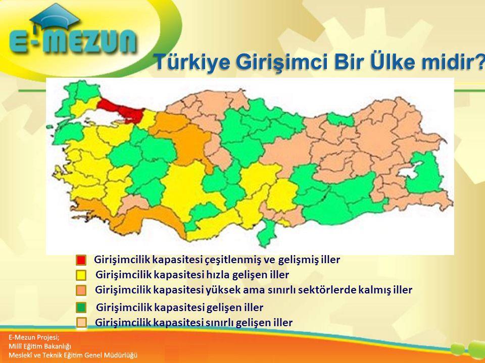 Türkiye Girişimci Bir Ülke midir? www.