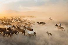 Fotoğrafçılar, sürü halinde koşan atların tozu dumana kattığı yollarda, gün batımının kızıllığıyla