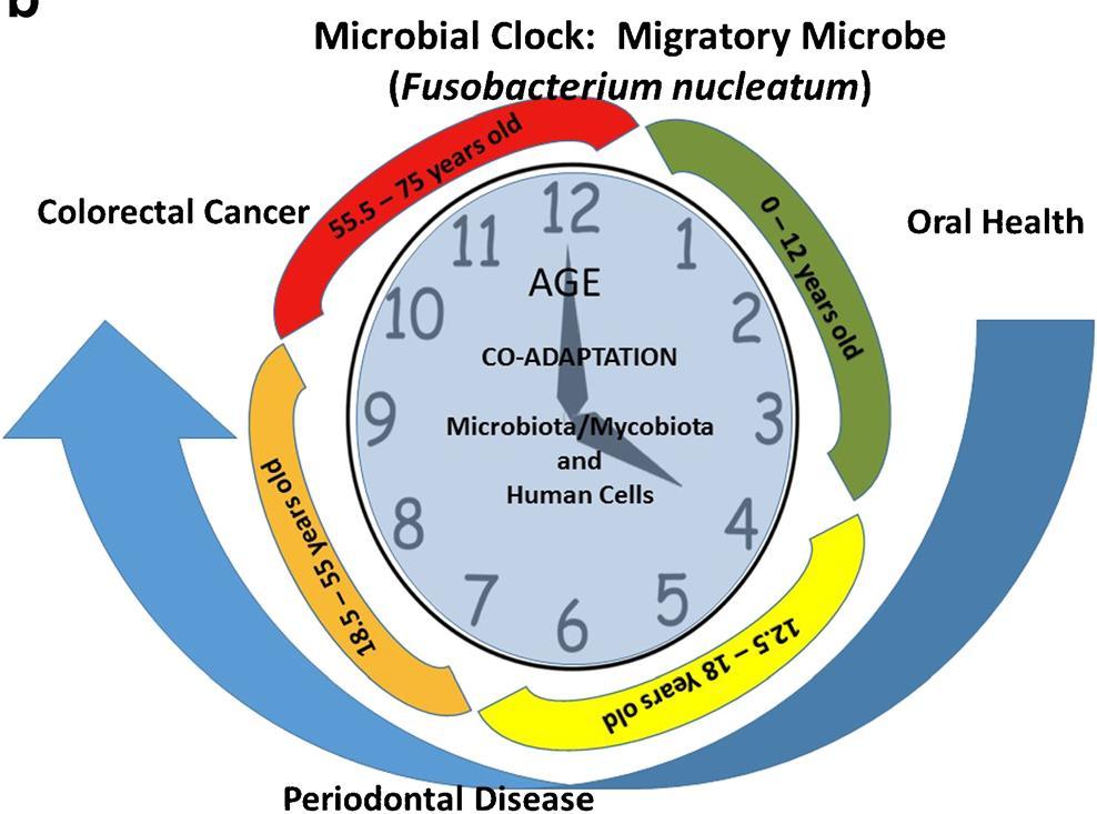 Curr Oral Health Rep (2016) 3:45 55