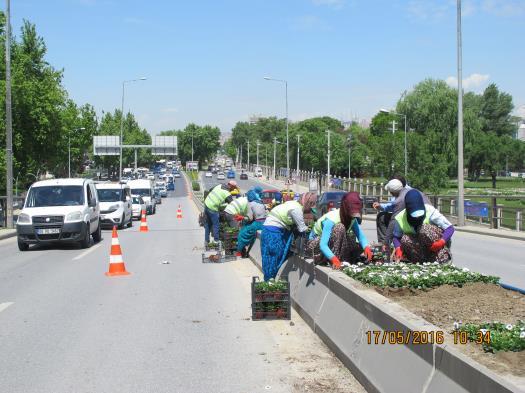 farkedilebilecek nitelikte olmadığı, sulama