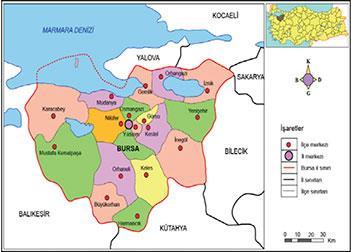 Mülki idari özelliklerine göre bölgeler İl, ilçe ve köy gibi idari anlamda oluşturulan Bölgelerdir Yerel yönetim özelliklerine göre bölgeler İl özel idareleri ile belediyelere ait yönetim alanlarını