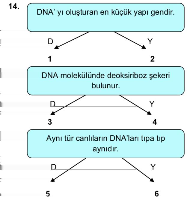 DNA ile ilgili verilen bilgilere doğru cevaplar verildiğinde hangi sayı dizisi elde edilir? A) 236 B)245 C) 145 D)136 15.