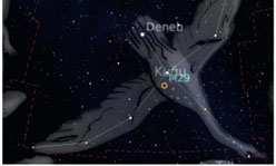 Kuğu (Cygnus) Takımyıldızı Yaz üçgenini oluşturan üç yıldızdan ikincisi Kuğu Takımyıldızının en parlak yıldızı